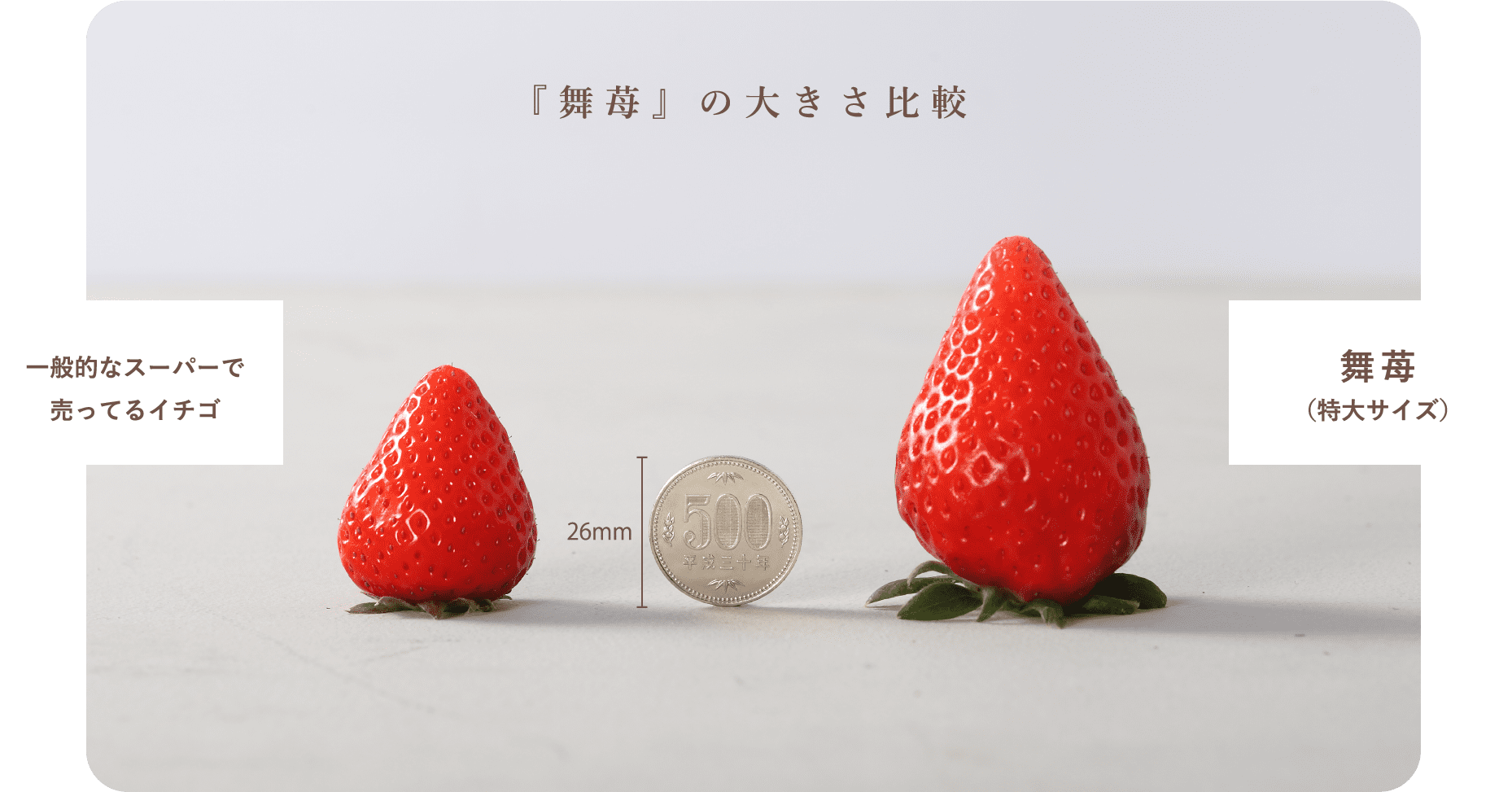 『舞苺』の大きさを比較