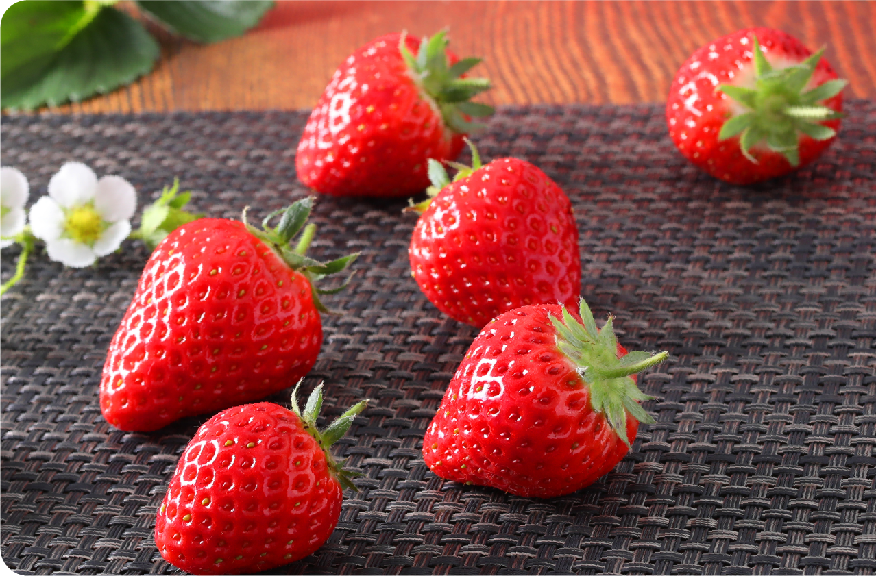 品種は「よつぼし」を採用