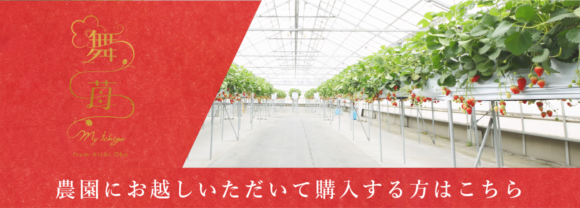 農園にお越しいただいて購入する方はこちら